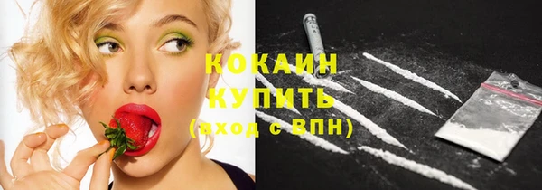 spice Зеленодольск