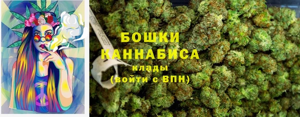 spice Зеленодольск