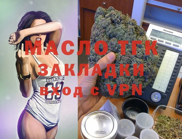mix Инта