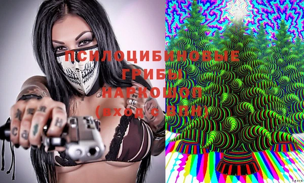 spice Зеленодольск