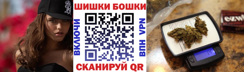 Купить где Луга Марихуана SATIVA & INDICA